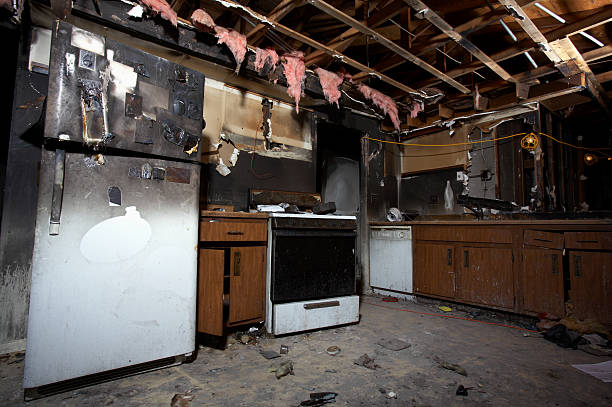 Affordable Fire Damage Removal solutions in Monrovia, MD